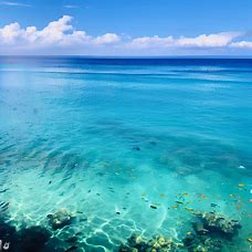 Depict a beautiful seascape of the clear turquoise waters of Maui, filled with diverse tropical fish and coral.”