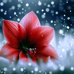 An amaryllis flower nestled amidst a field of falling snowflakes.