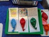 Image result for 5 Senses Science Experiments