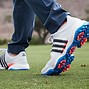 Image result for Adidas Golf Shoes with Dial