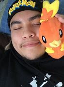 Image result for Torchic Mudkip or Treecko