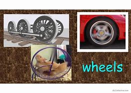 Image result for Things That Have Wheels