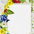 Image result for Beautiful Photo Frames