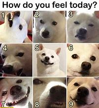 Image result for How Are You Meme