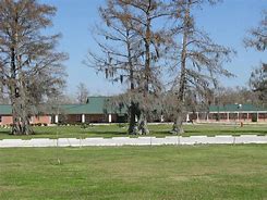 Image result for Belle Chasse