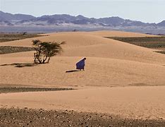 Image result for Western Sahara