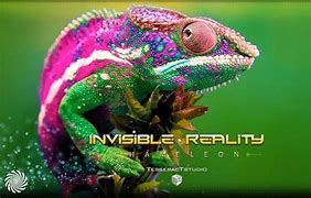 Image result for Visible Invisible