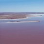 Image result for Pink Lake Australia