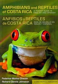 Costa Rica Reptiles 的图像结果