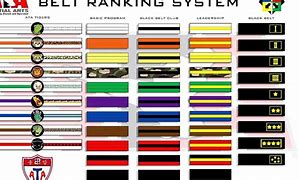 Image result for Belt Colors in Karate