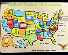 Image result for United States America Map Cartoon