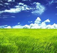 Image result for Ploughrd Field Backgrounds