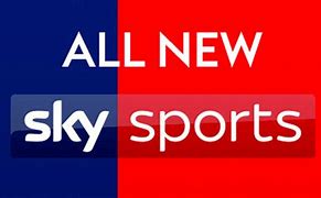 Image result for Sky Sports Logo
