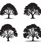 Image result for Banyan Tree Silhouette