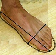 Image result for His Feet Measured 17 Inches