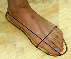 Image result for 2 Feet Measure