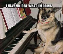 Image result for Funny Piano Playing