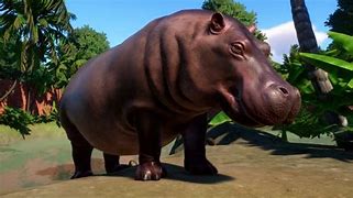 Image result for Hippo Planet Zoo