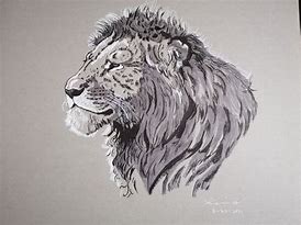 Image result for Lion Ink Drawing