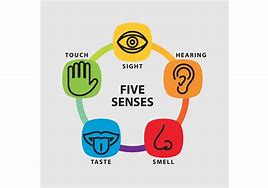 Image result for The Five Senses Chart Grown UPS