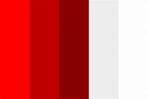Image result for Red and White Color