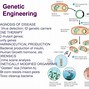 Image result for Infographic About Genetic Engineering