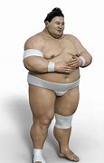 Image result for Sumo Wrestling Match Tokyo Japan