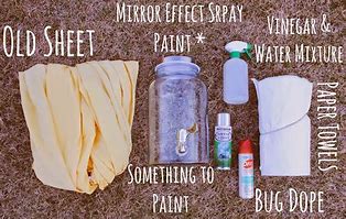 Image result for Mirror Effect Spray-Paint