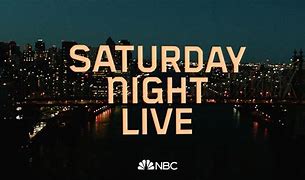 Image result for Saturday Night Live Season 49 Poster