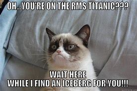 Image result for Grumpy Cat Titanic