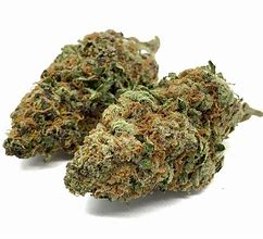 Image result for Purple Queen Strain