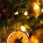 Image result for Dried Oranges Christmas Decorations