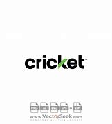 Image result for Cricket Wireless Commercial Painter