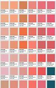 Image result for Warna Peach