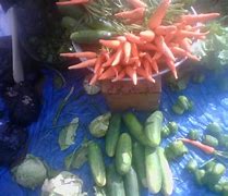 Image result for Local Vegetables