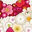 Image result for Colorful Flower Wallpaper Designs