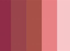 Image result for Apple Color Scheme