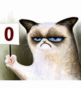 Image result for Grumpy Cat Memes New
