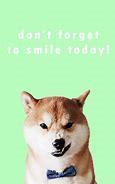 Image result for Aesthetic Doge