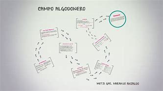 Image result for apgodonero