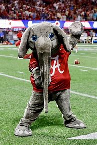 Image result for Al.com Alabama Football