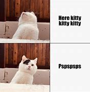 Image result for Pspsps Cat Meme