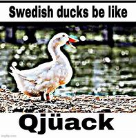 Image result for Swedish Duck Meme