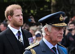 Image result for Prince Harry King