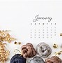 Image result for Free January Desktop Calendar