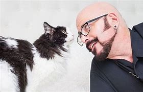 Image result for Jackson Galaxy Cats