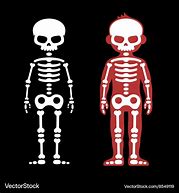 Image result for Skeleton Bones Cartoon