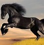 Image result for Horse Side View HD