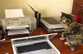 Image result for Full Cat Meme Printer