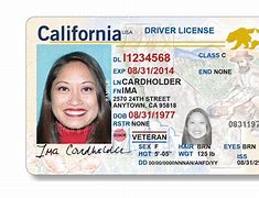Image result for Real Government ID